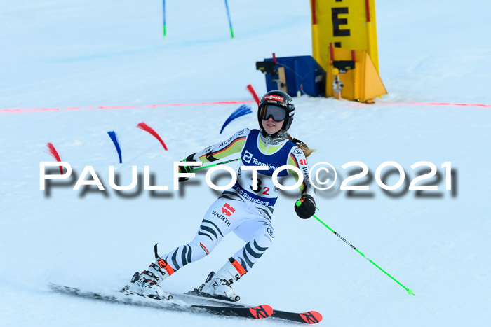 Deutsche Meisterschaft Team PSL Gudiberg 23.03.2019