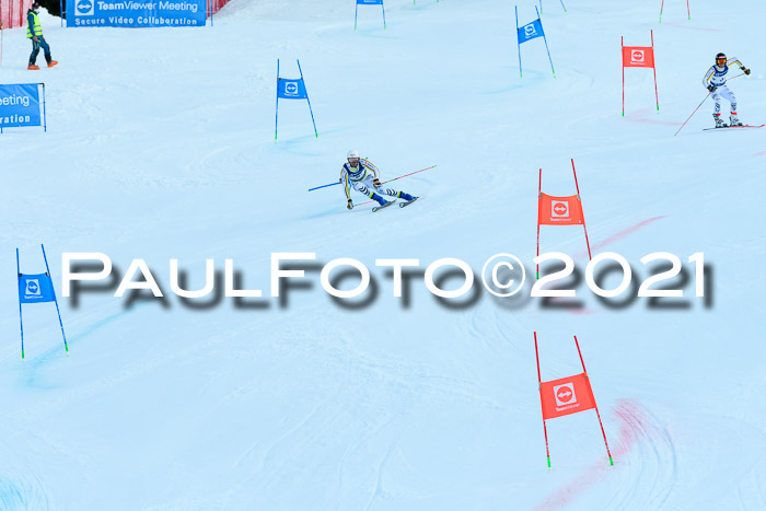 Deutsche Meisterschaft Team PSL Gudiberg 23.03.2019