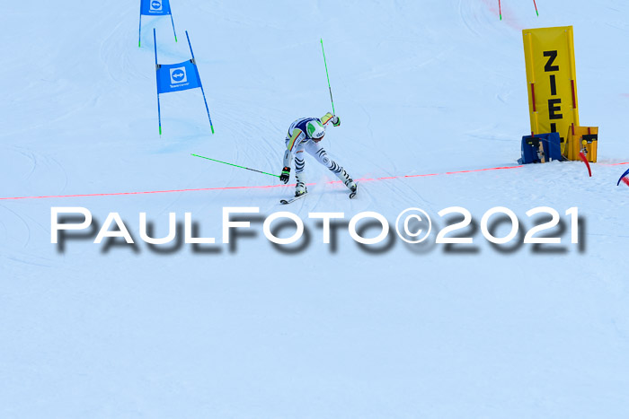 Deutsche Meisterschaft Team PSL Gudiberg 23.03.2019