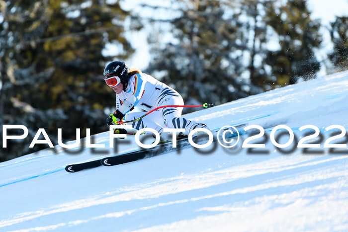 FIS AC NJC Damen + Herren Super-G