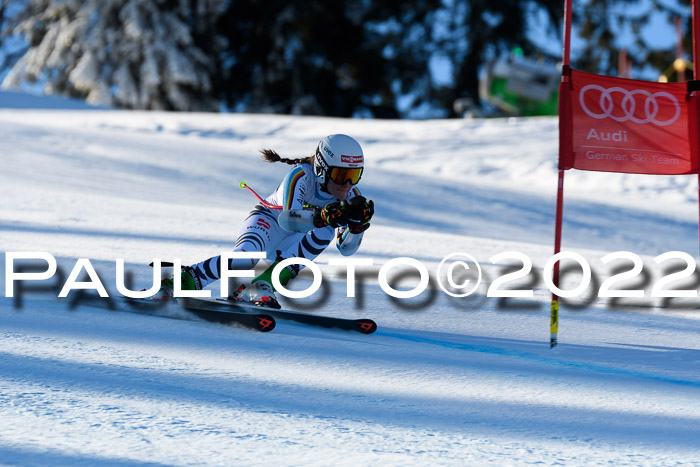 FIS AC NJC Damen + Herren Super-G