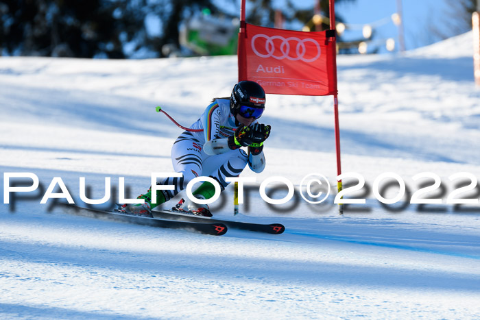 FIS AC NJC Damen + Herren Super-G