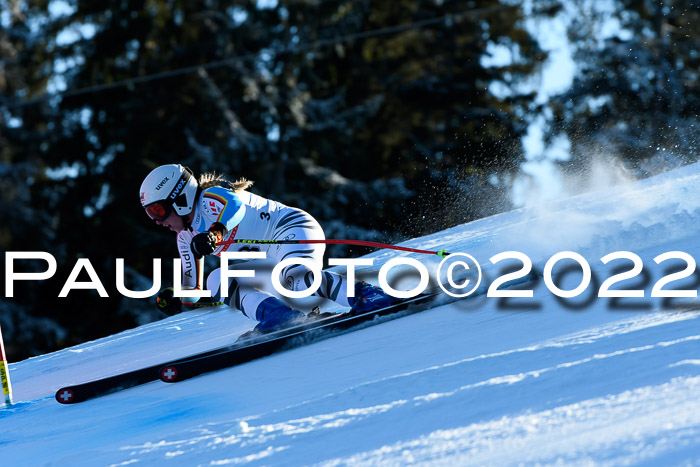 FIS AC NJC Damen + Herren Super-G