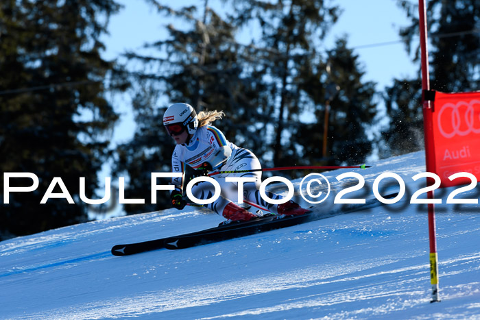 FIS AC NJC Damen + Herren Super-G