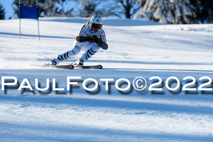 FIS AC NJC Damen + Herren Super-G
