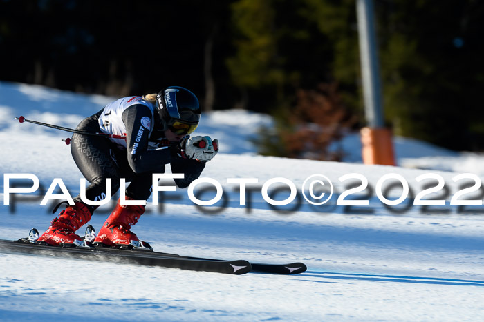FIS AC NJC Damen + Herren Super-G