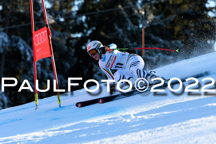 FIS AC NJC Damen + Herren Super-G