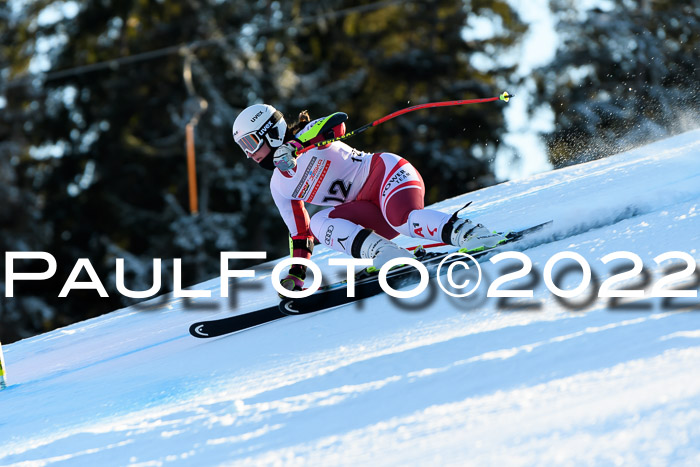 FIS AC NJC Damen + Herren Super-G