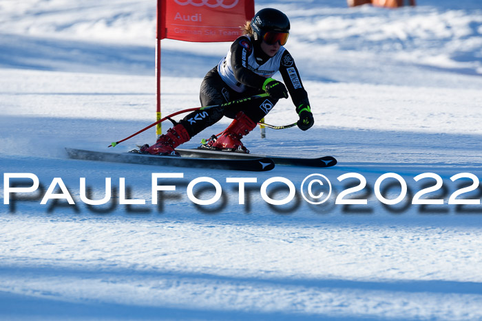 FIS AC NJC Damen + Herren Super-G