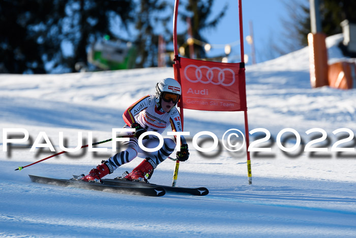 FIS AC NJC Damen + Herren Super-G