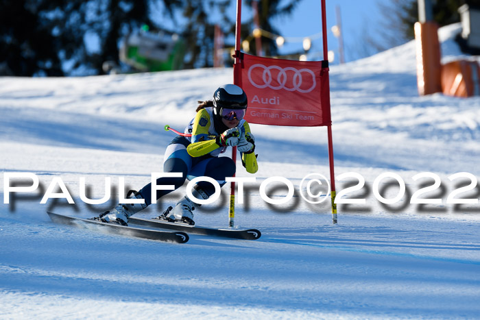 FIS AC NJC Damen + Herren Super-G
