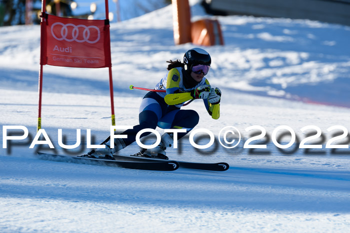 FIS AC NJC Damen + Herren Super-G