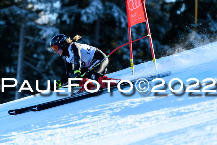 FIS AC NJC Damen + Herren Super-G