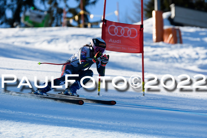 FIS AC NJC Damen + Herren Super-G