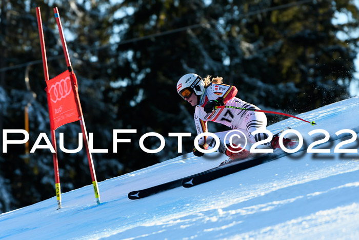 FIS AC NJC Damen + Herren Super-G