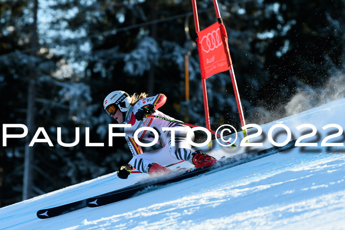 FIS AC NJC Damen + Herren Super-G