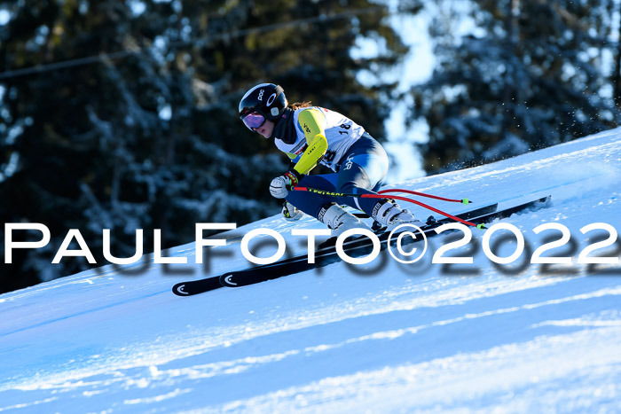 FIS AC NJC Damen + Herren Super-G
