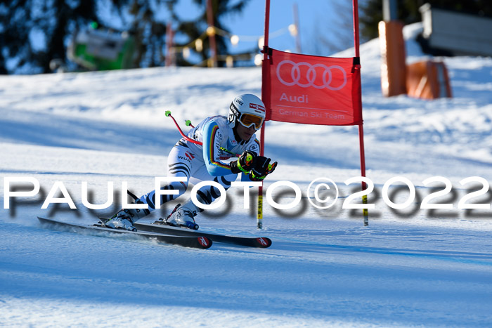 FIS AC NJC Damen + Herren Super-G