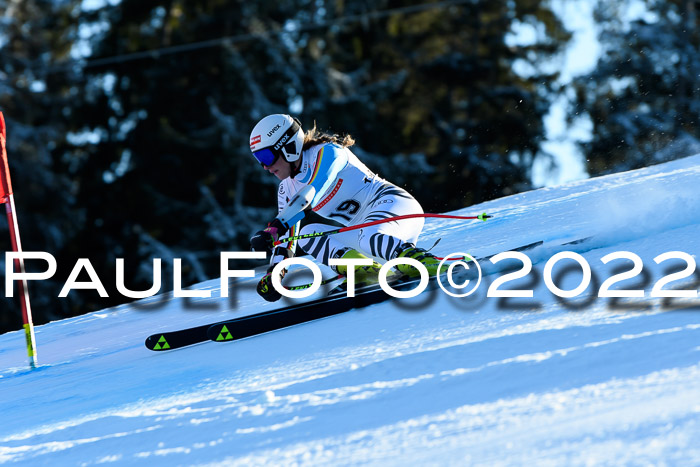 FIS AC NJC Damen + Herren Super-G