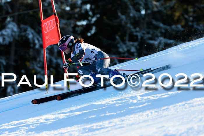 FIS AC NJC Damen + Herren Super-G