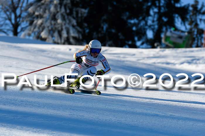 FIS AC NJC Damen + Herren Super-G