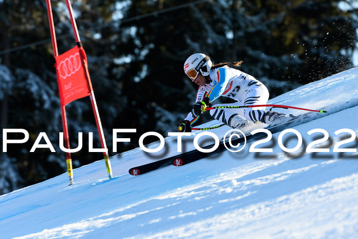 FIS AC NJC Damen + Herren Super-G