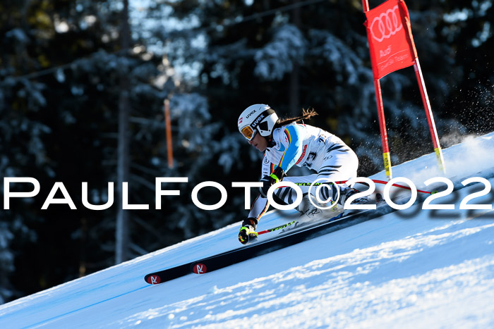 FIS AC NJC Damen + Herren Super-G