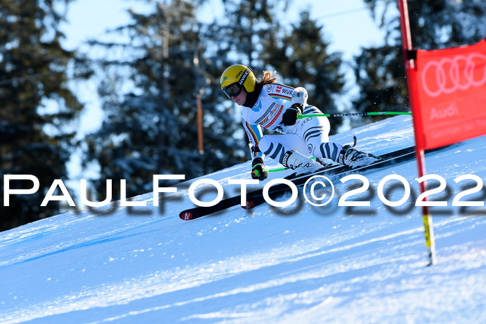FIS AC NJC Damen + Herren Super-G