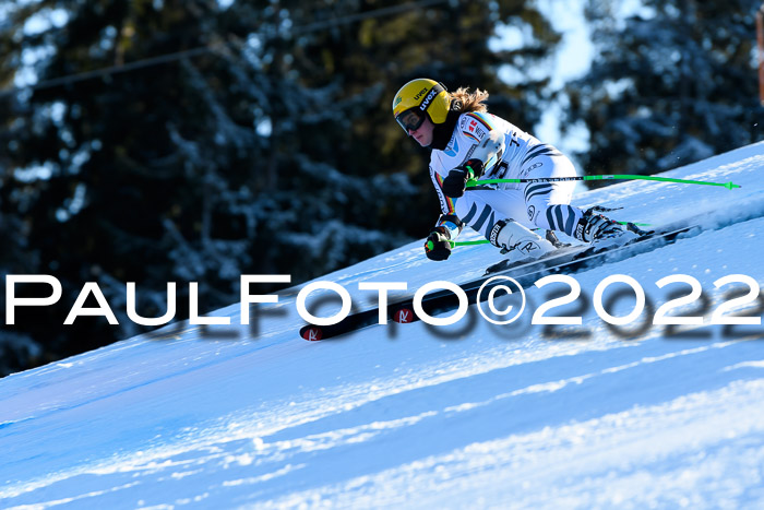 FIS AC NJC Damen + Herren Super-G
