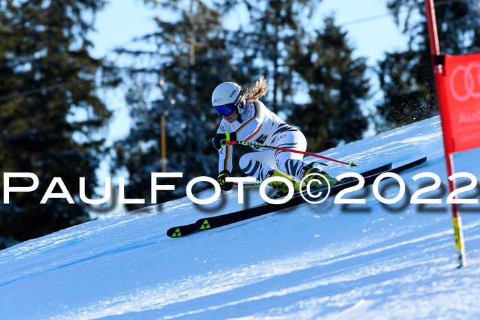 FIS AC NJC Damen + Herren Super-G