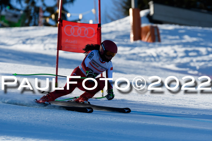 FIS AC NJC Damen + Herren Super-G