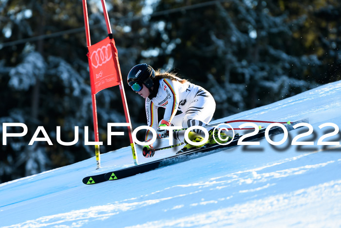 FIS AC NJC Damen + Herren Super-G