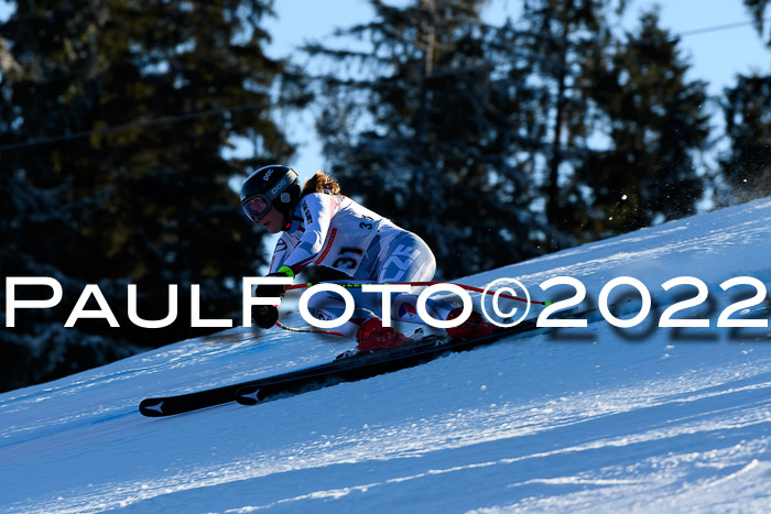 FIS AC NJC Damen + Herren Super-G