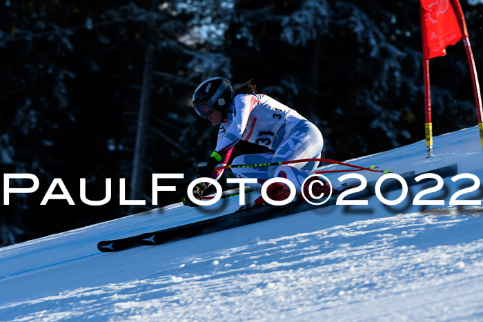 FIS AC NJC Damen + Herren Super-G