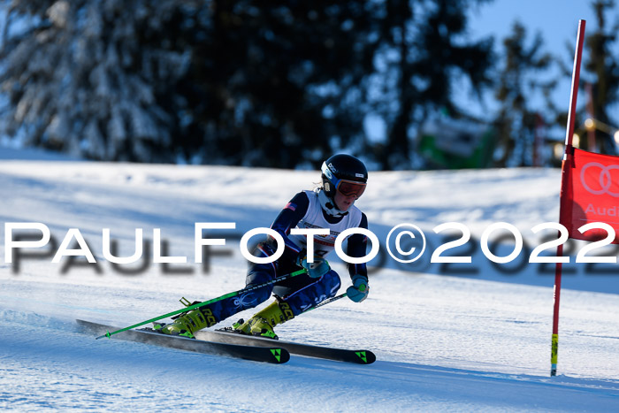 FIS AC NJC Damen + Herren Super-G