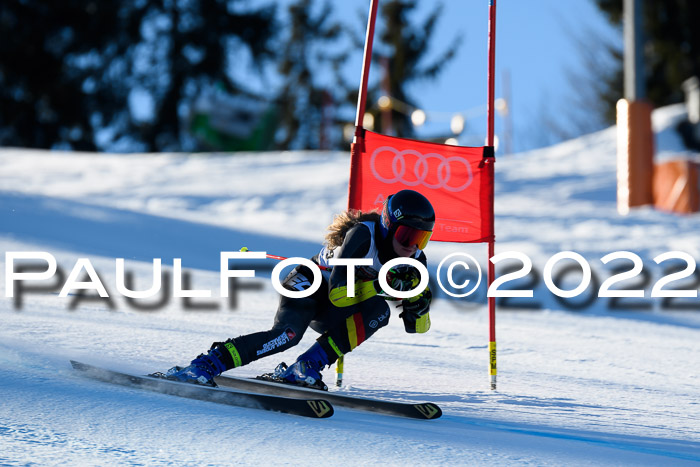 FIS AC NJC Damen + Herren Super-G