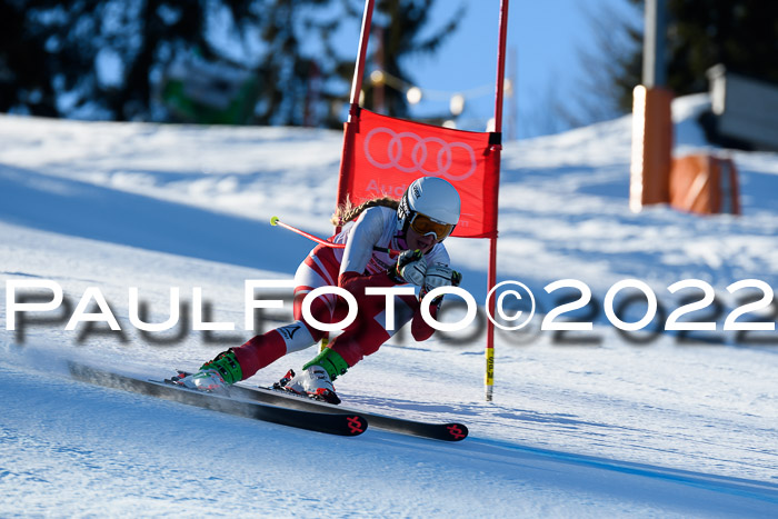 FIS AC NJC Damen + Herren Super-G
