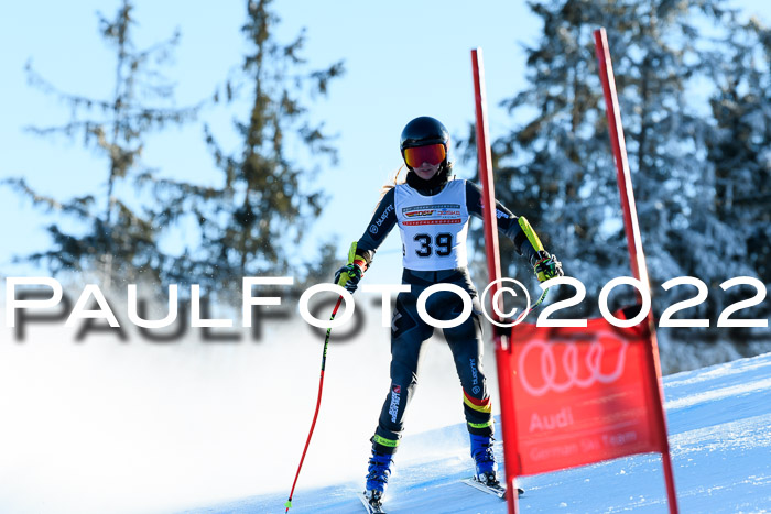 FIS AC NJC Damen + Herren Super-G