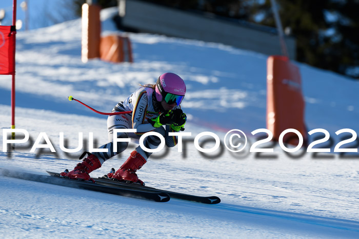 FIS AC NJC Damen + Herren Super-G
