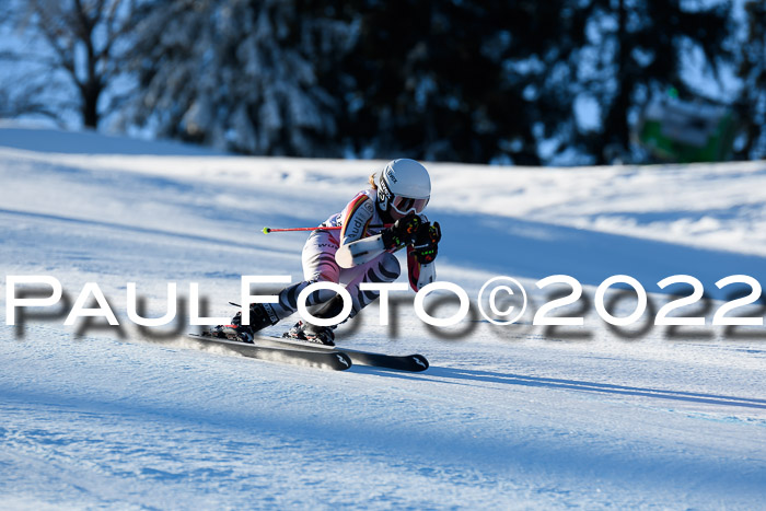 FIS AC NJC Damen + Herren Super-G