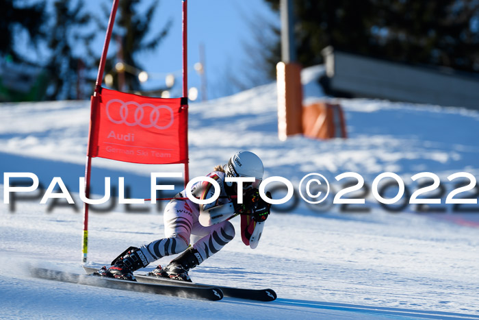 FIS AC NJC Damen + Herren Super-G