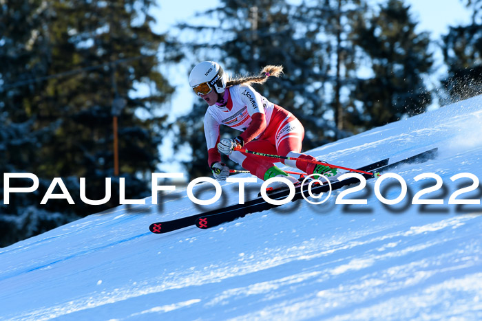 FIS AC NJC Damen + Herren Super-G