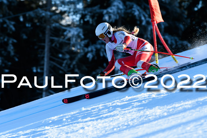 FIS AC NJC Damen + Herren Super-G