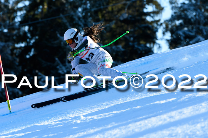 FIS AC NJC Damen + Herren Super-G
