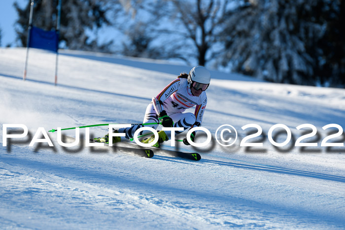 FIS AC NJC Damen + Herren Super-G