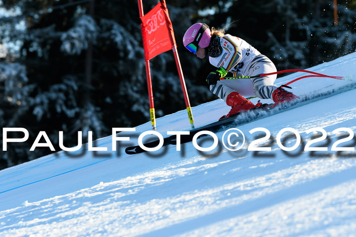 FIS AC NJC Damen + Herren Super-G