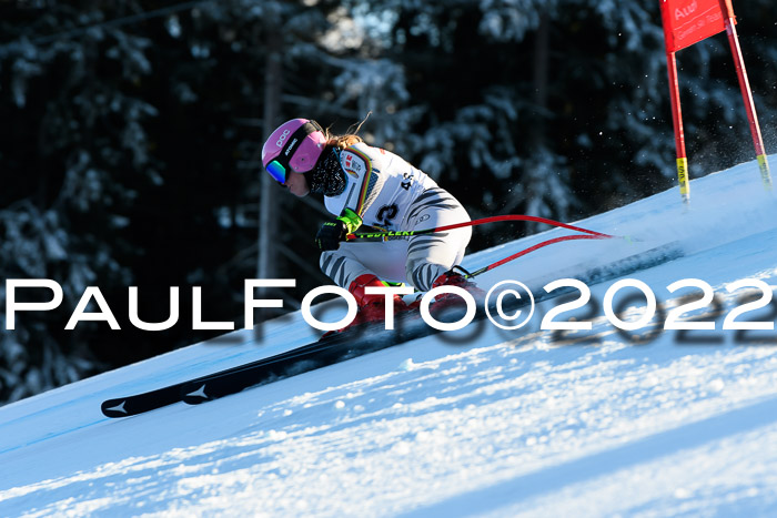 FIS AC NJC Damen + Herren Super-G