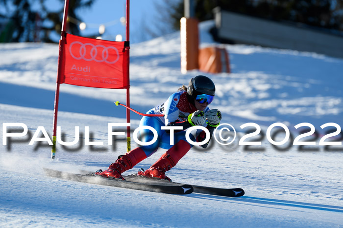 FIS AC NJC Damen + Herren Super-G