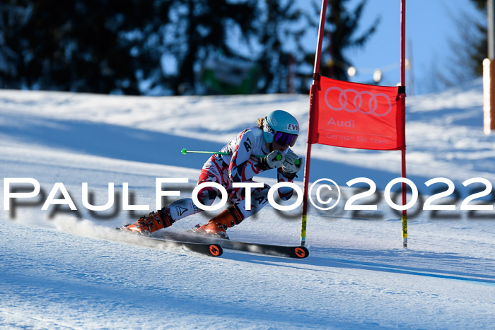 FIS AC NJC Damen + Herren Super-G