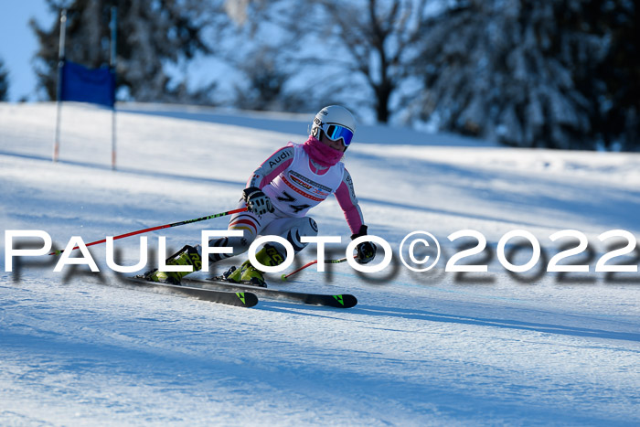 FIS AC NJC Damen + Herren Super-G